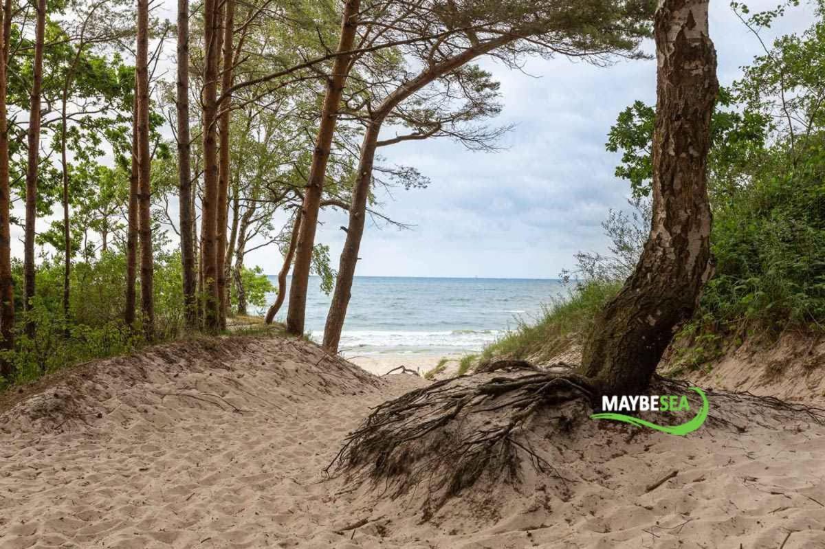 Maybesea Polanki Park Premium Kołobrzeg Exteriör bild